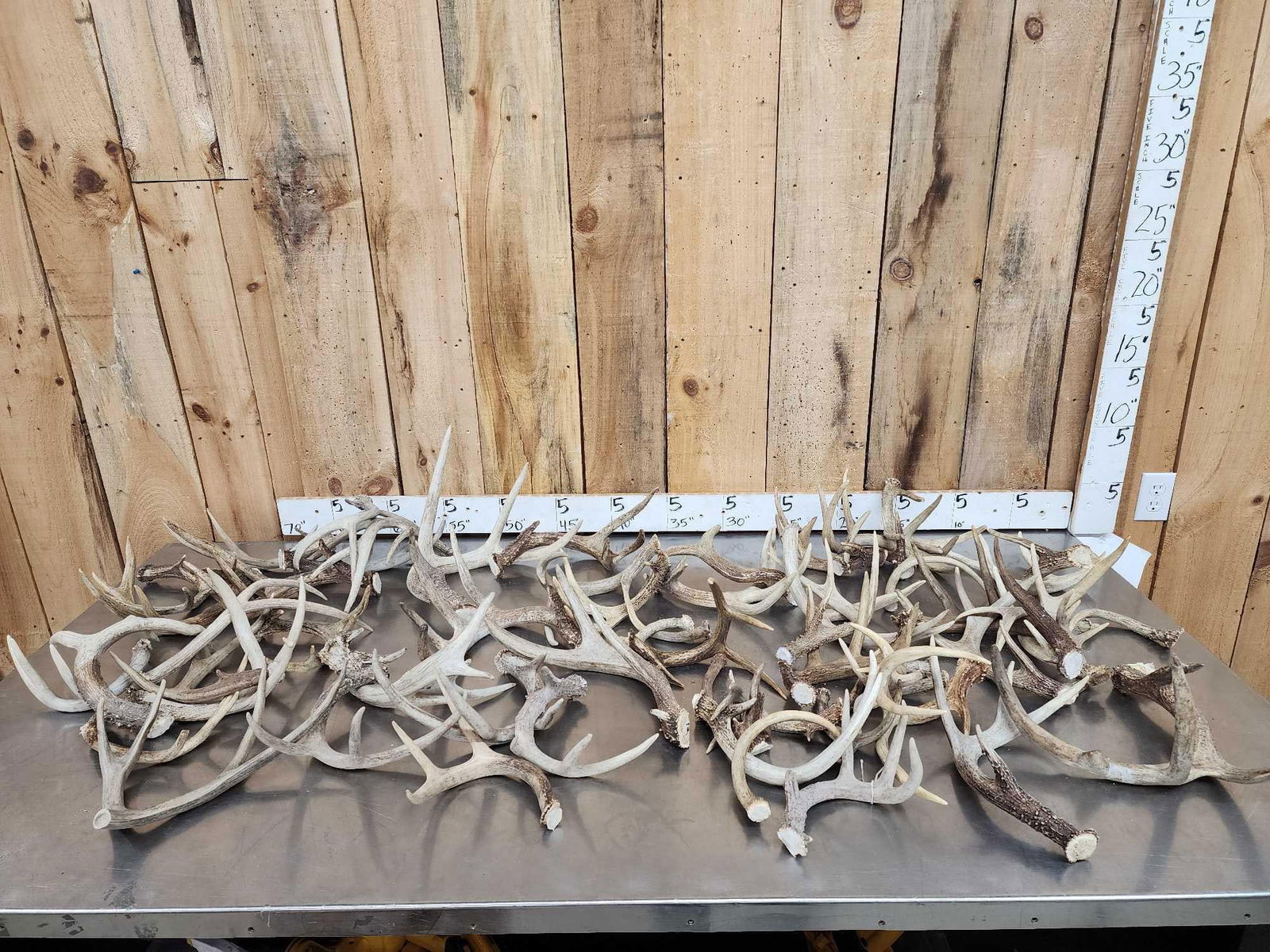 42.6 Lbs Of Deer Antlers: 62.51 Cut below the burr great for crafts or dog chews 60 pcs