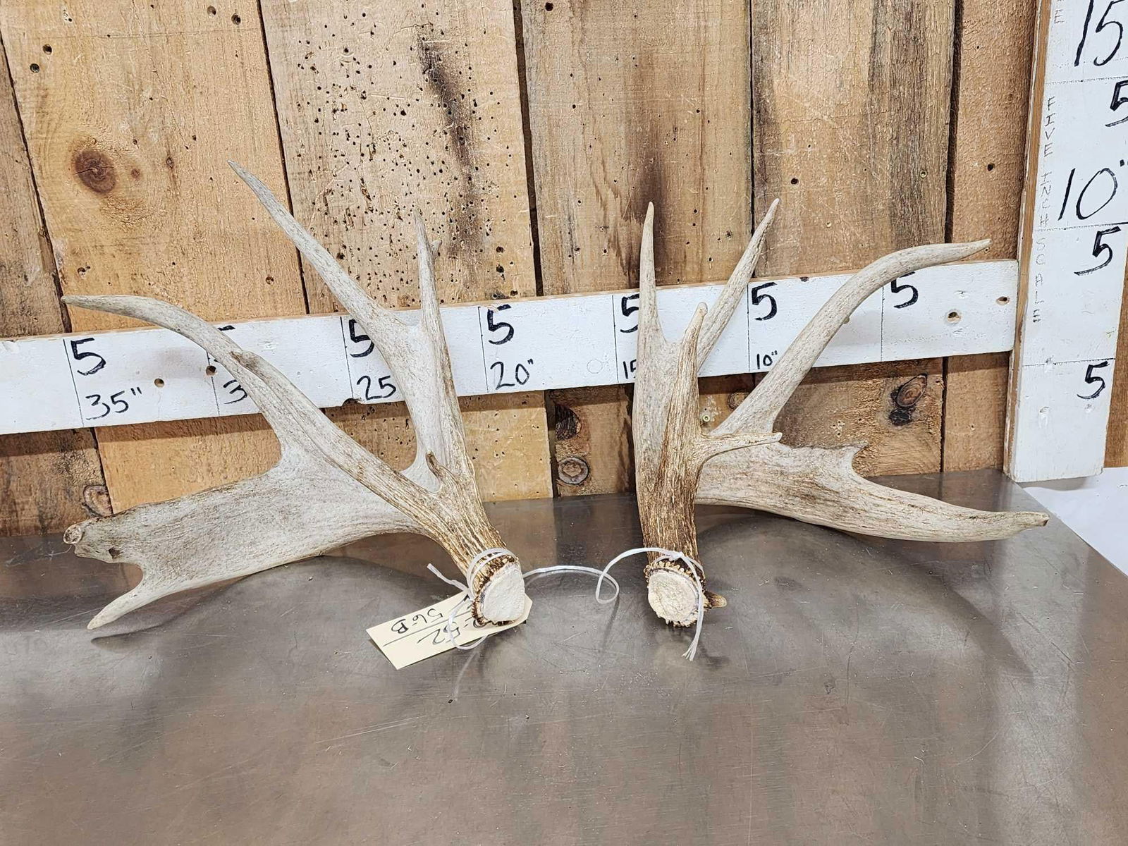 Heavy Mass Main Frame 4x4 Whitetail Shed Antlers (1 of 8)