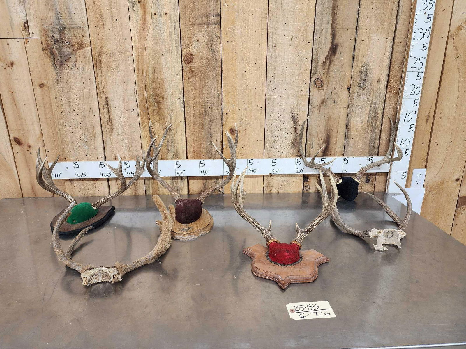 6 Sets Of Mule Deer Antlers (1 of 9)