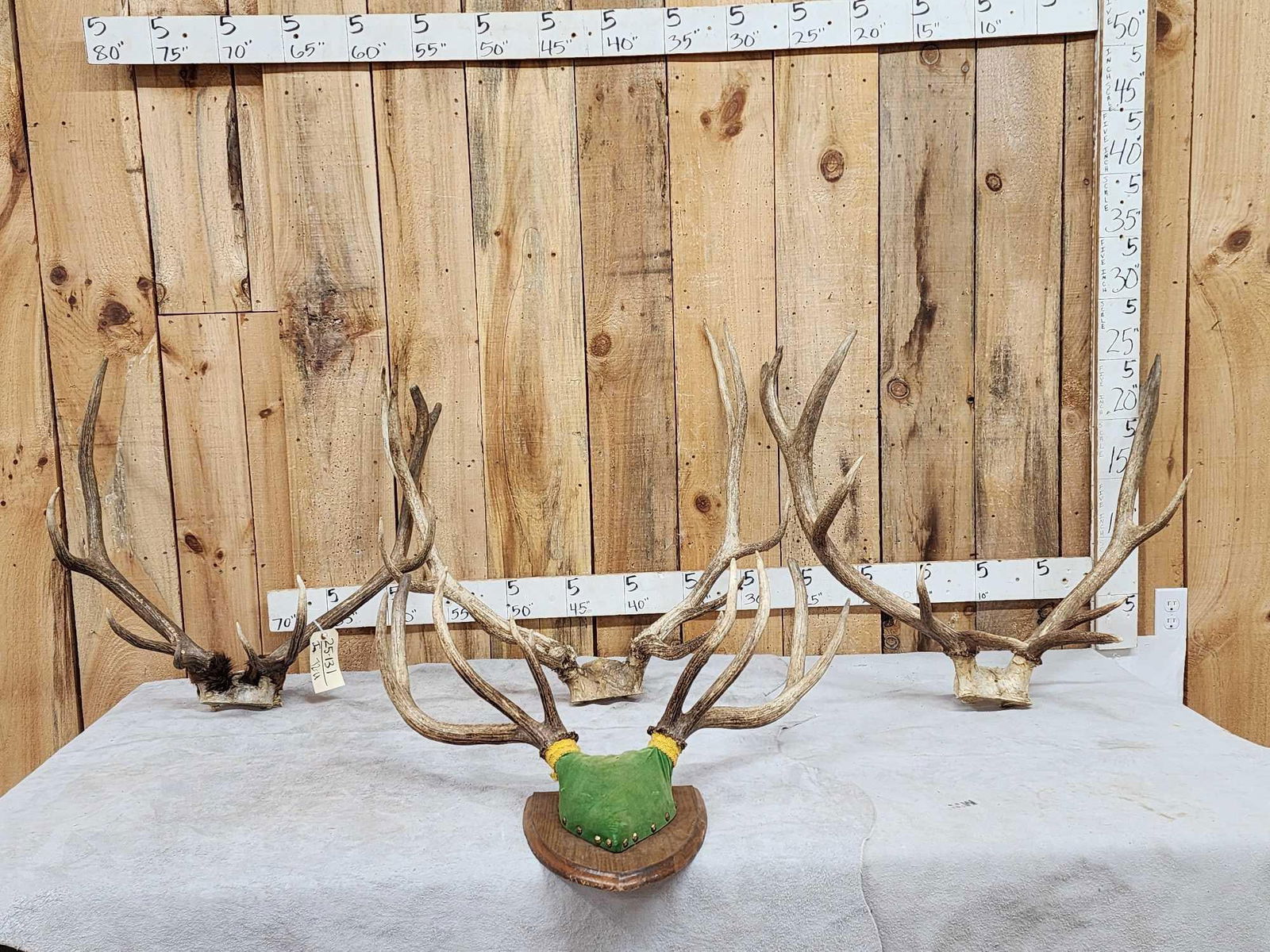 4 Sets Of Elk Antlers: 25.131 On skull plate plaque all good color great for crafts decor or dog chews