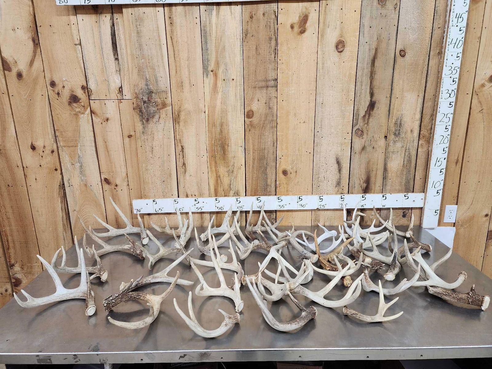 32.3 Lbs Of Whitetail Antlers: 134.6 Mixture of sheds and cut below the burr great for crafts or dog chews 35 pcs