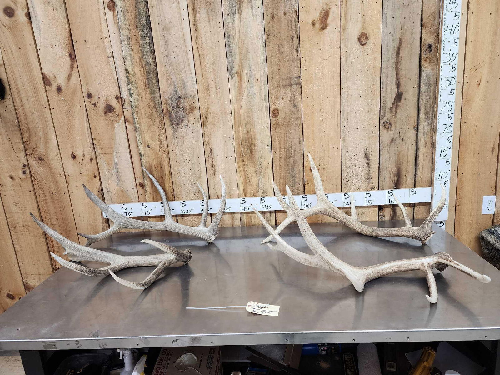 2 Sets Of Elk Shed Antlers: 146.25 Great for crafts or dog chews 22.3 Lbs