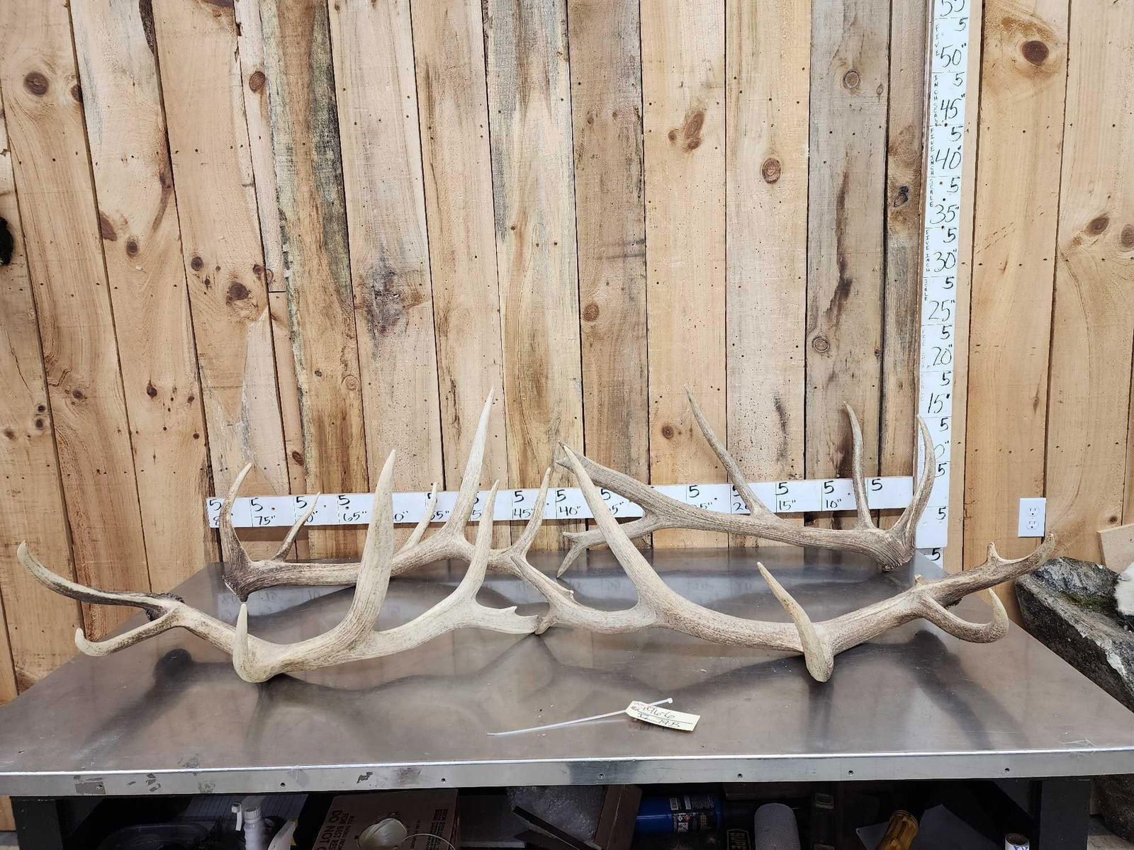 2 Sets Of Elk Shed Antlers: 146.6 Great for crafts decor or dog chews 29.6 Lbs