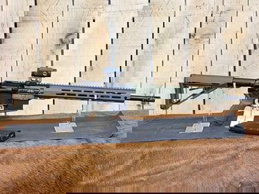 Palmetto State Armory Model PA15 5.56 Semi Auto Rifle