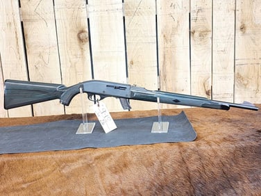RARE Remington Apache 77 .22 Semi Auto Rifle K Mart Green