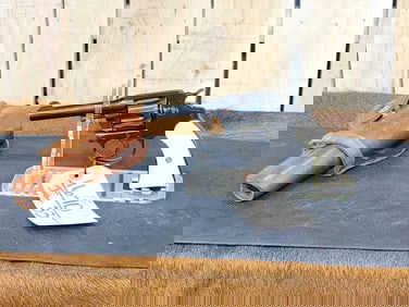 Colt Police Positive .38 Revolver