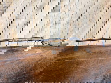 H&R Model 176 Sportsman Long Range 10ga Single Shot Shotgun