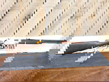 Henry " Evil Roy " .22 Lever Action Rifle