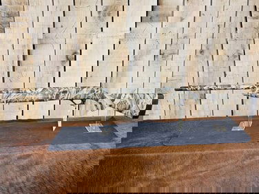 Winchester Model SX4 12ga Semi Auto Shotgun