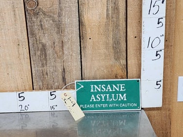 Insane Asylum Cast Iron Sign