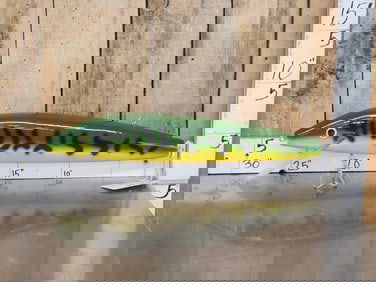 Over Size Fishing Lure Sporting Goods Store Display