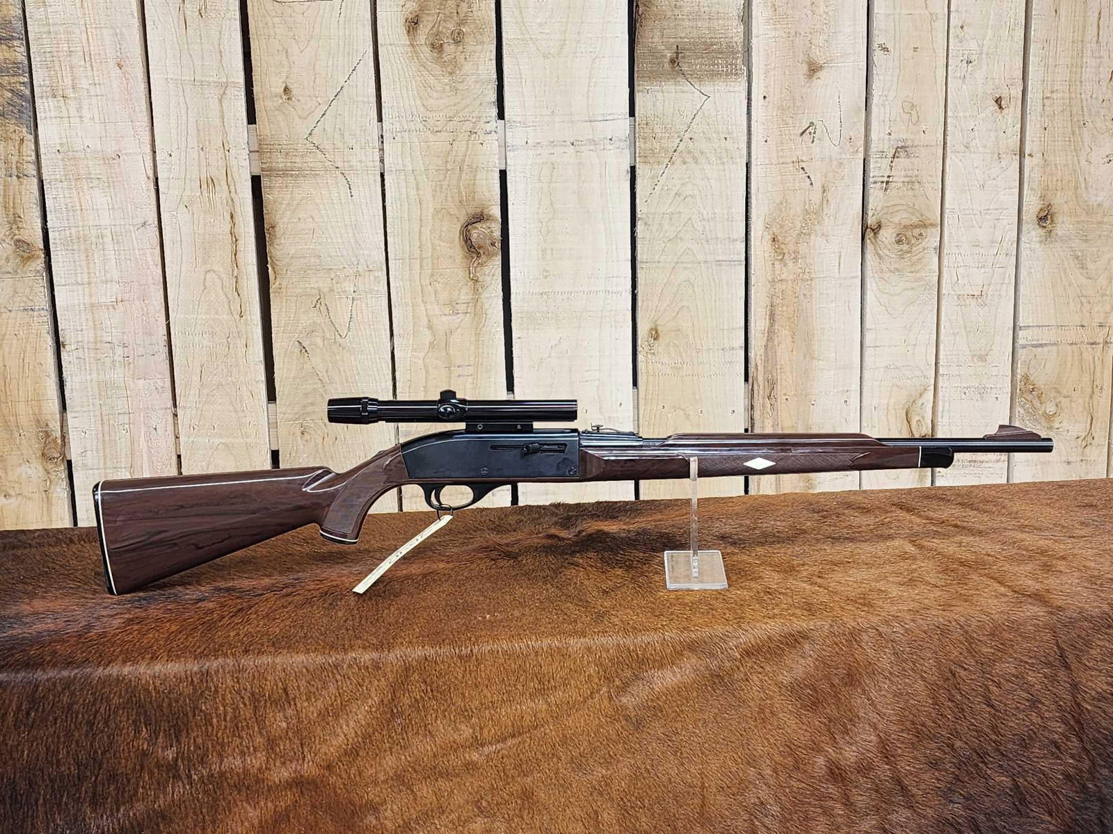 Remington Nylon 66 .22 Semi Auto Rifle (1 of 10)