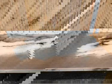 2 Ranch Fox Soft Tanned Furs