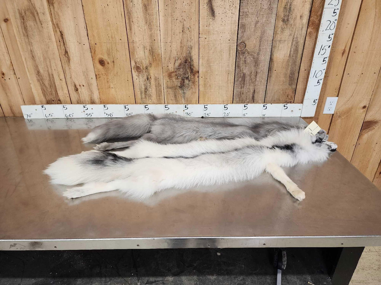 2 Ranch Fox Soft Tanned Furs (1 of 4)