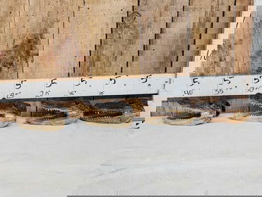 4 Alligator Heads Taxidermy