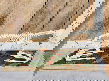 Articulated Whitetail Fawn Skelton Taxidermy