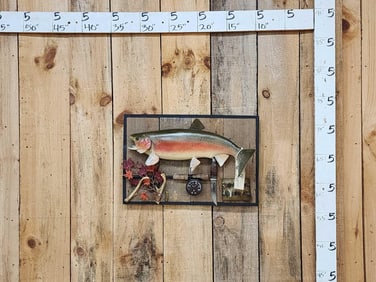 22" Rainbow Trout Real Skin Fish Taxidermy