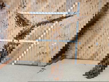 Spectacular Eagle Driftwood Sculpture