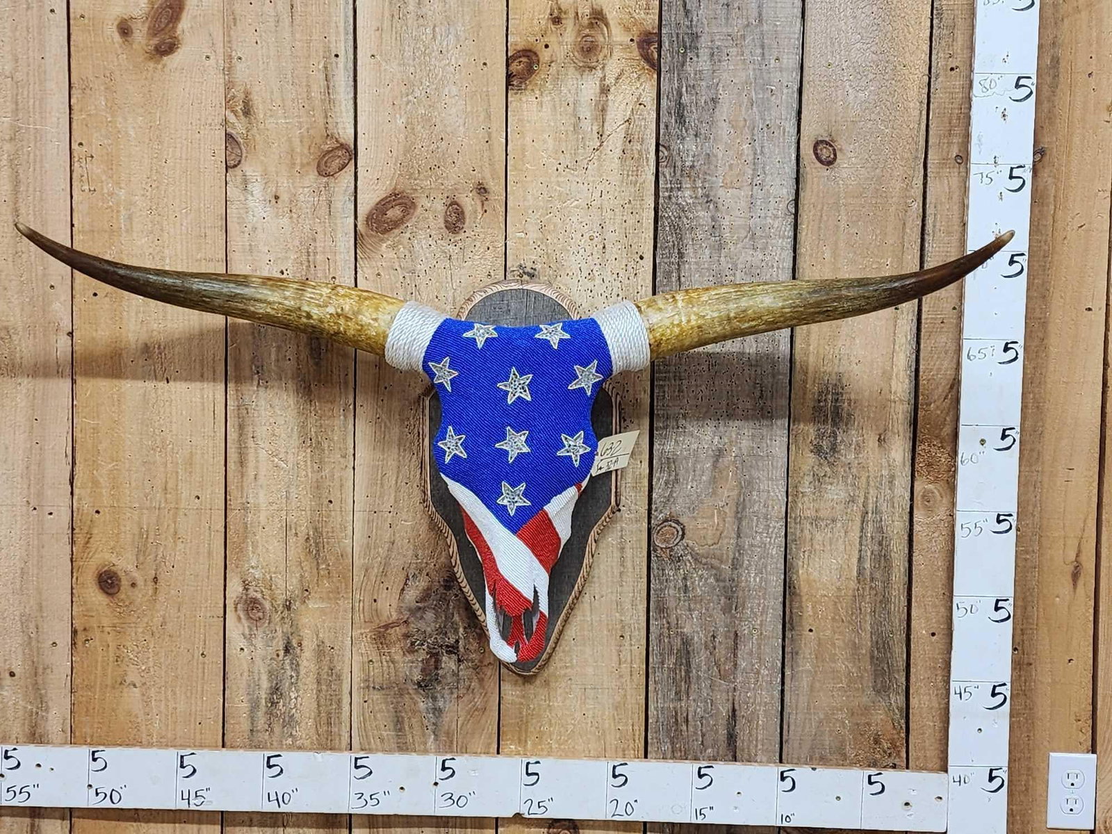Spectacular Beaded Texas Longhorn Skull Taxidermy (1 of 11)
