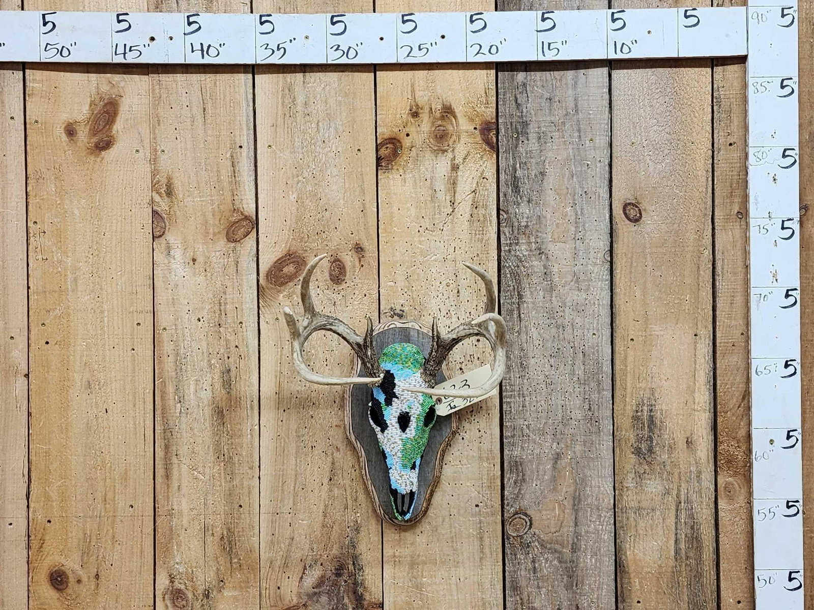 Spectacular Beaded Whitetail Skull Taxidermy (1 of 12)