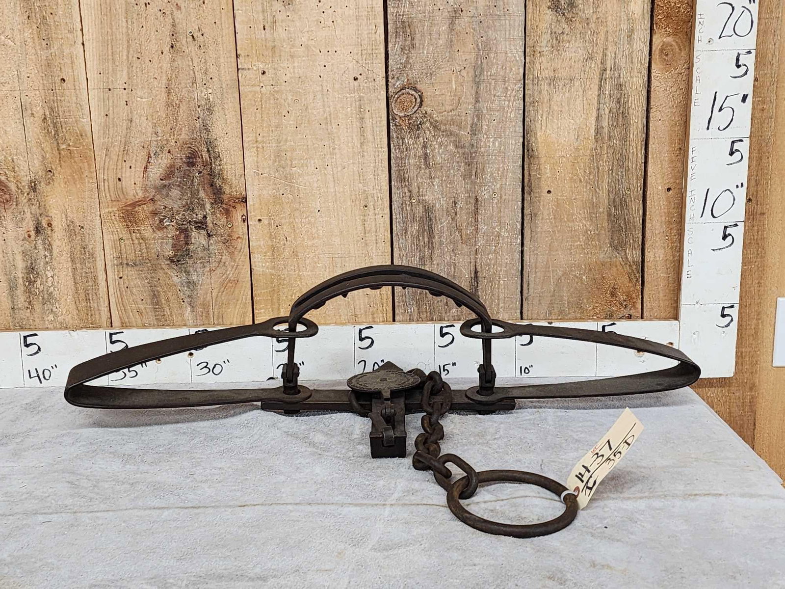 Oneida Newhouse Animal Trap Company #15 Bear Trap: 14.37 Offset jaws with teeth legible cast iron pan with chain and swivel