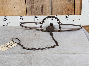 Triumph #315 High Grip Wolf Trap