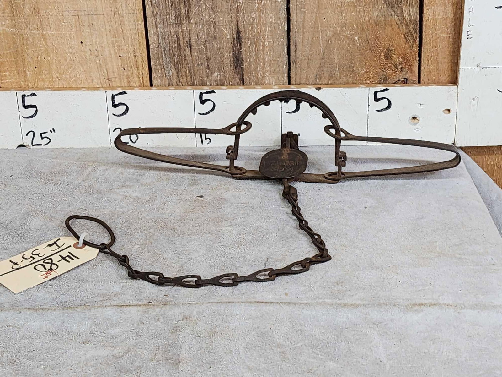 Triumph #315 High Grip Wolf Trap (1 of 4)