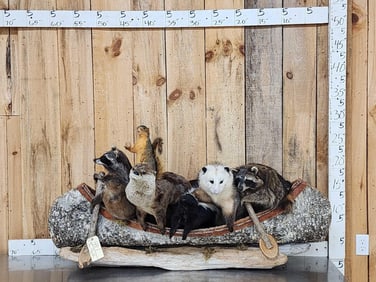 Noah's Ark 7 Critters In A Birch Bark Canoe