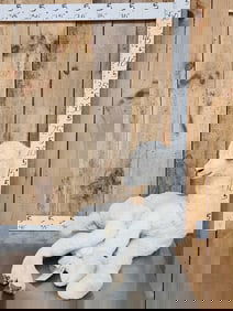 Baby Camel Full Body Taxidermy Mount