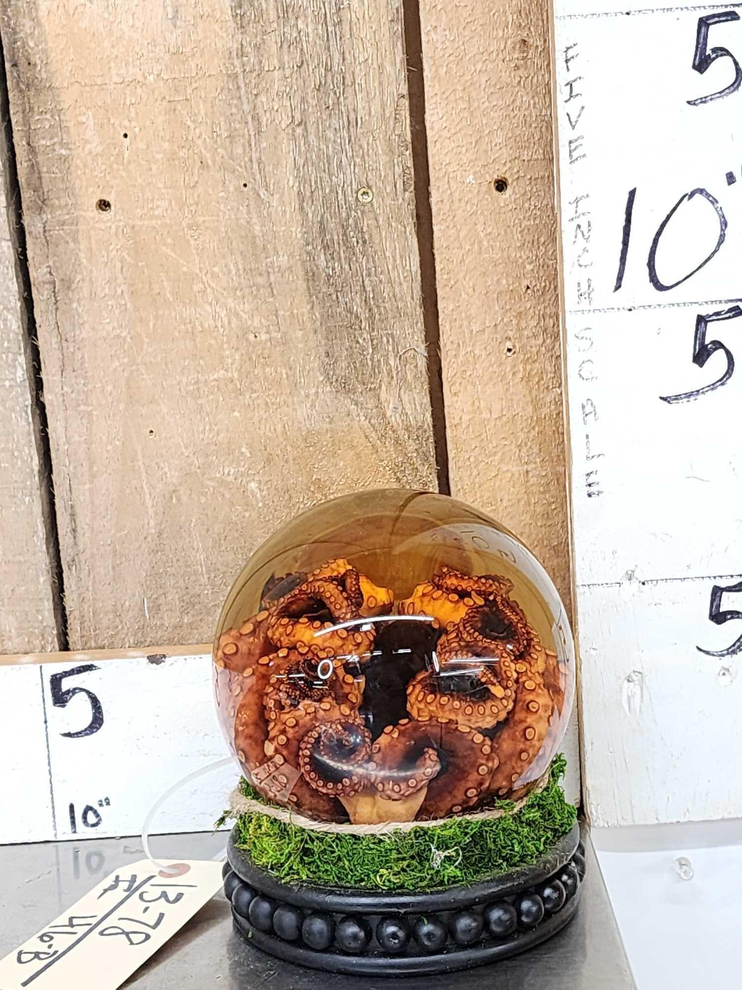 Wet Specimen Octopus In Globe Taxidermy (1 of 5)