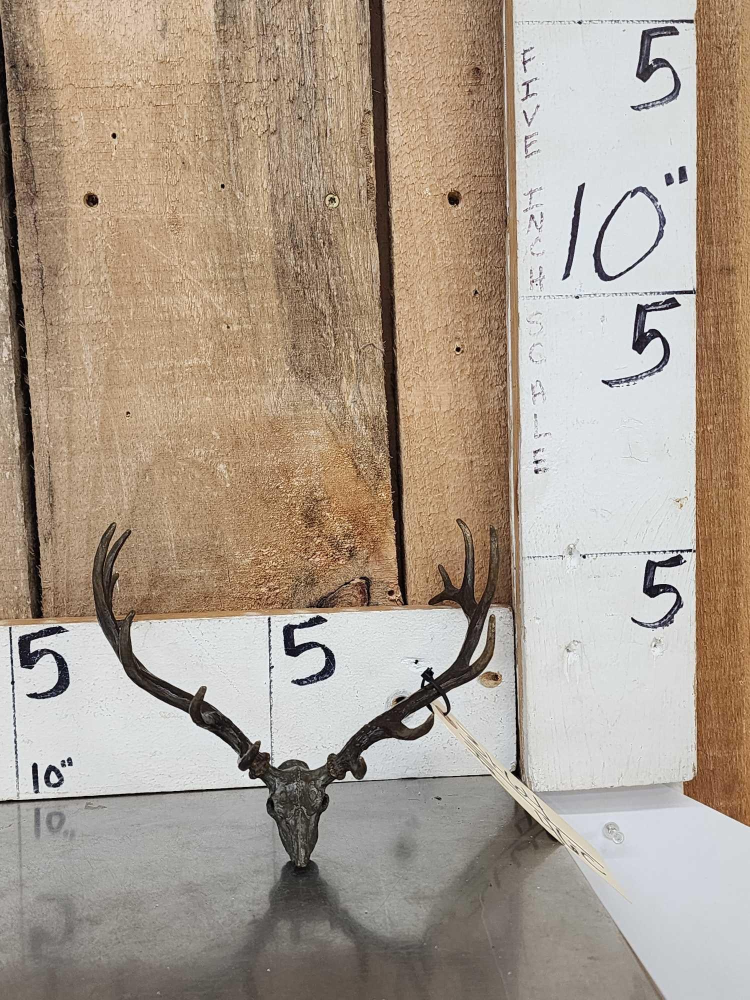 Vic Lemmon Bronze Elk Skull Sculpture: 31.64 Nice miniature bronze signed by the artist