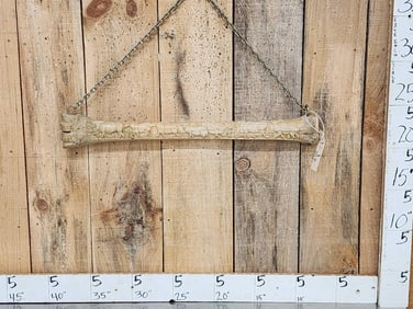 Hand Carved Giraffe Leg Bone