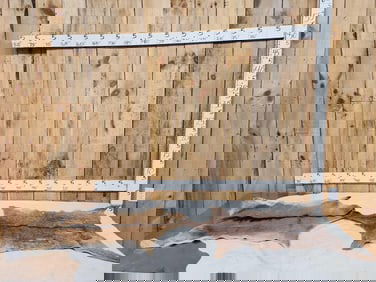 2 Soft Tanned Goat Skins Taxidermy