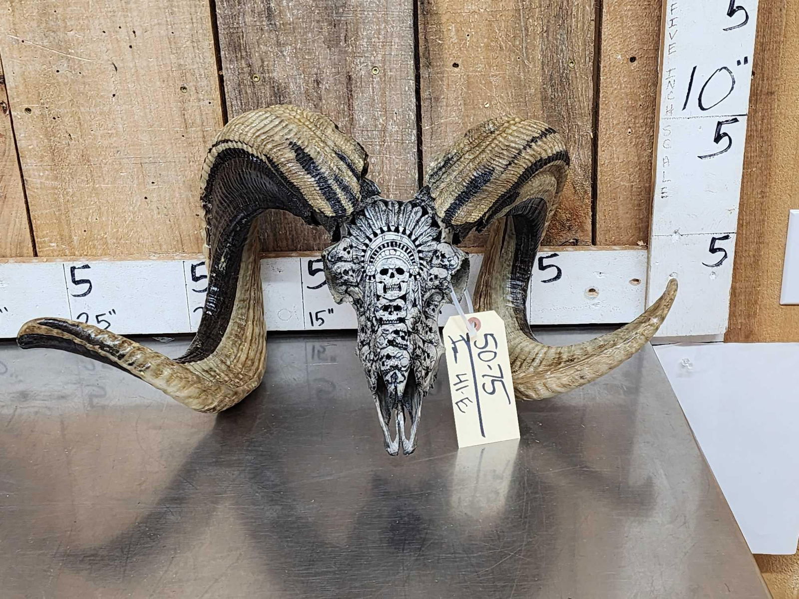Spectacular Hand Carved Ram Sheep Skull Taxidermy (1 of 9)