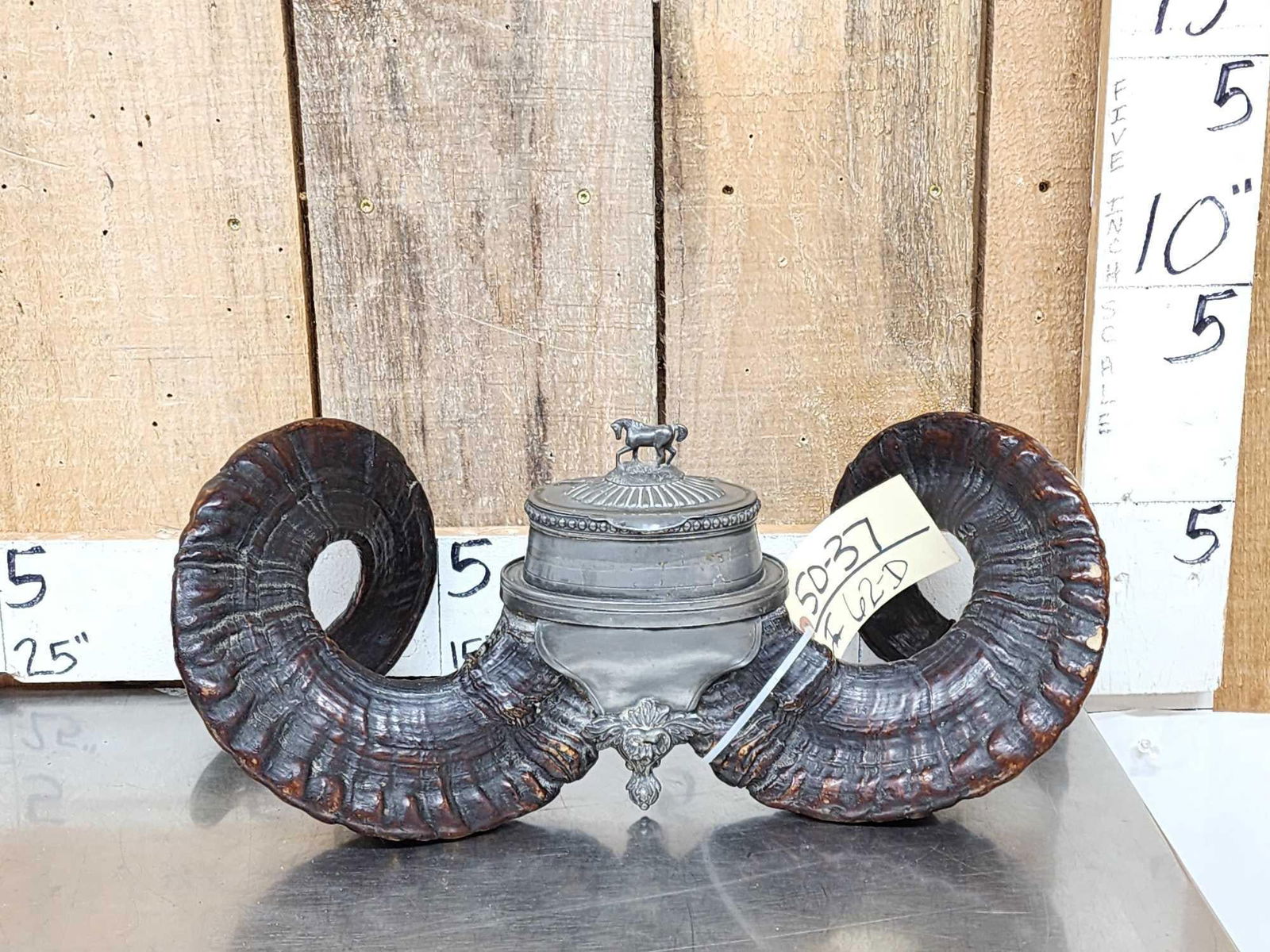 Victorian Era Scottish Ram's Horn Snuff Mull: 50.37 Outstanding piece awesome patina great condition for its age