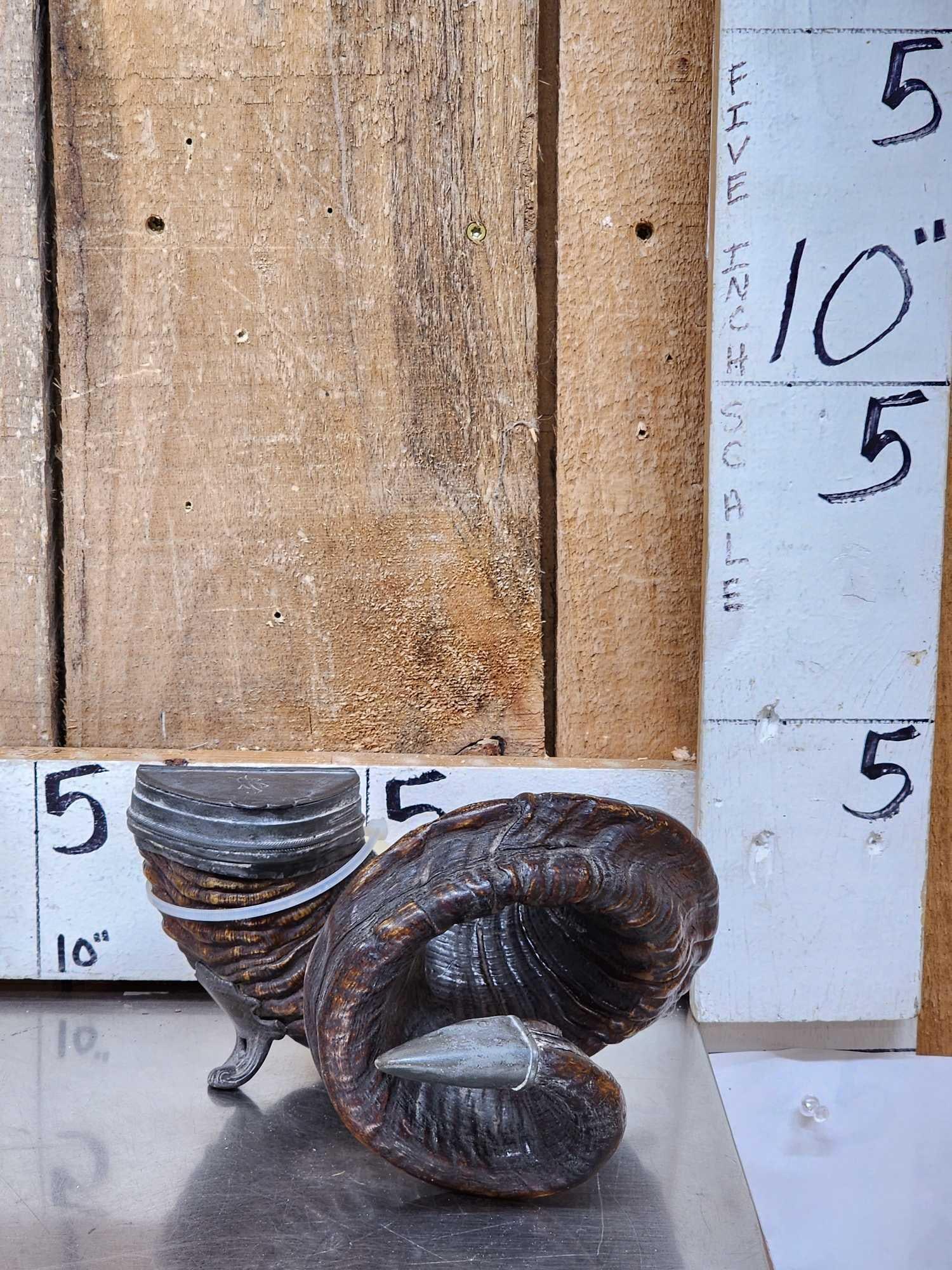 Victorian Era Scottish Ram's Horn Snuff Mull: 50.38 Awesome piece great condition for its age gorgeous patina double curl horn