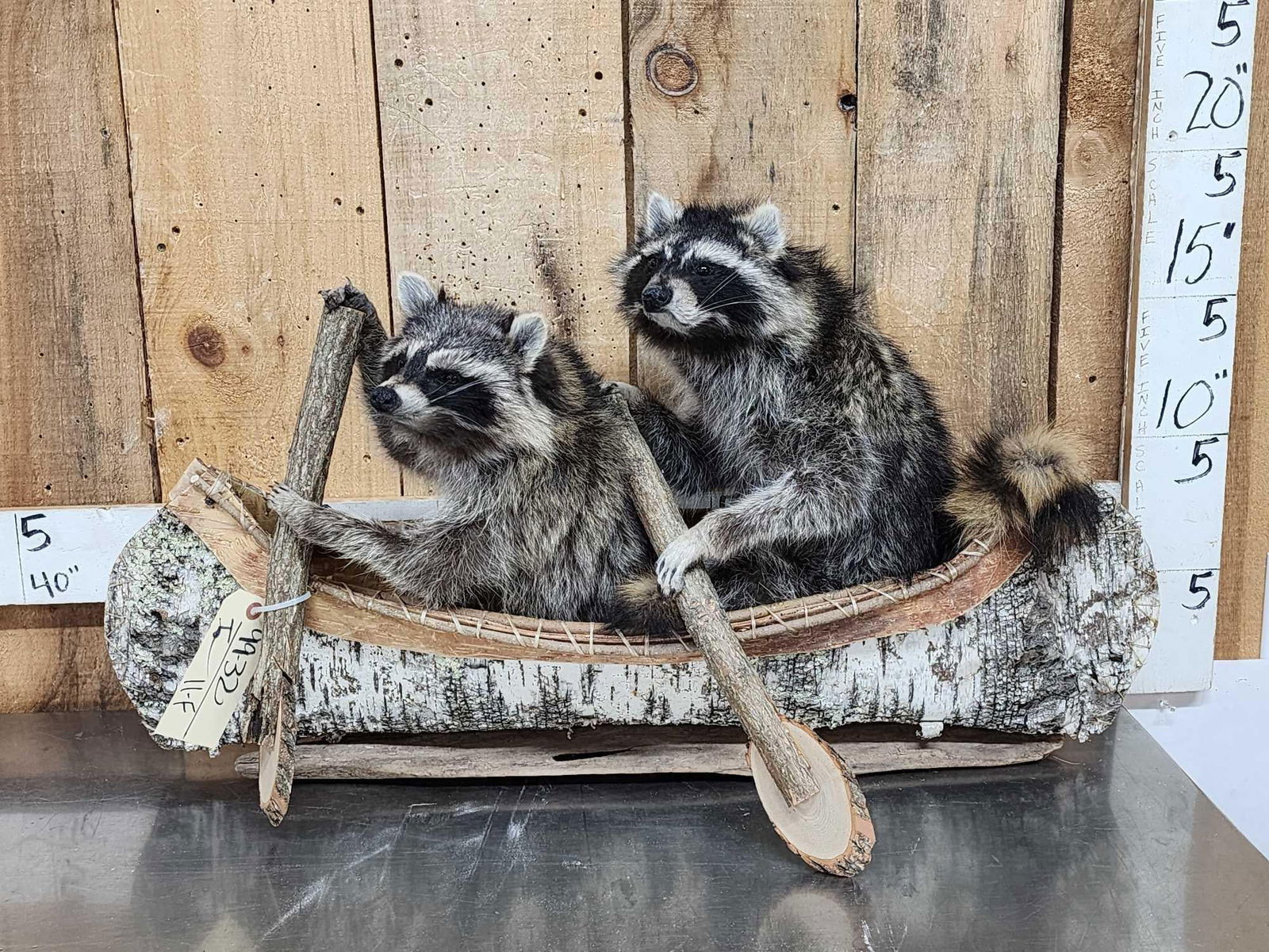2 Raccoons In A Birch Bark Canoe Taxidermy: 99.32 Brand new mount cute piece