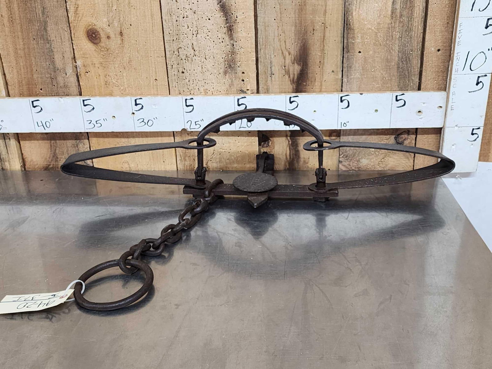 Newhouse Kenwood #15 Bear Trap: 94.20 Offset jaws with teeth swivel chain circa 1895 or later