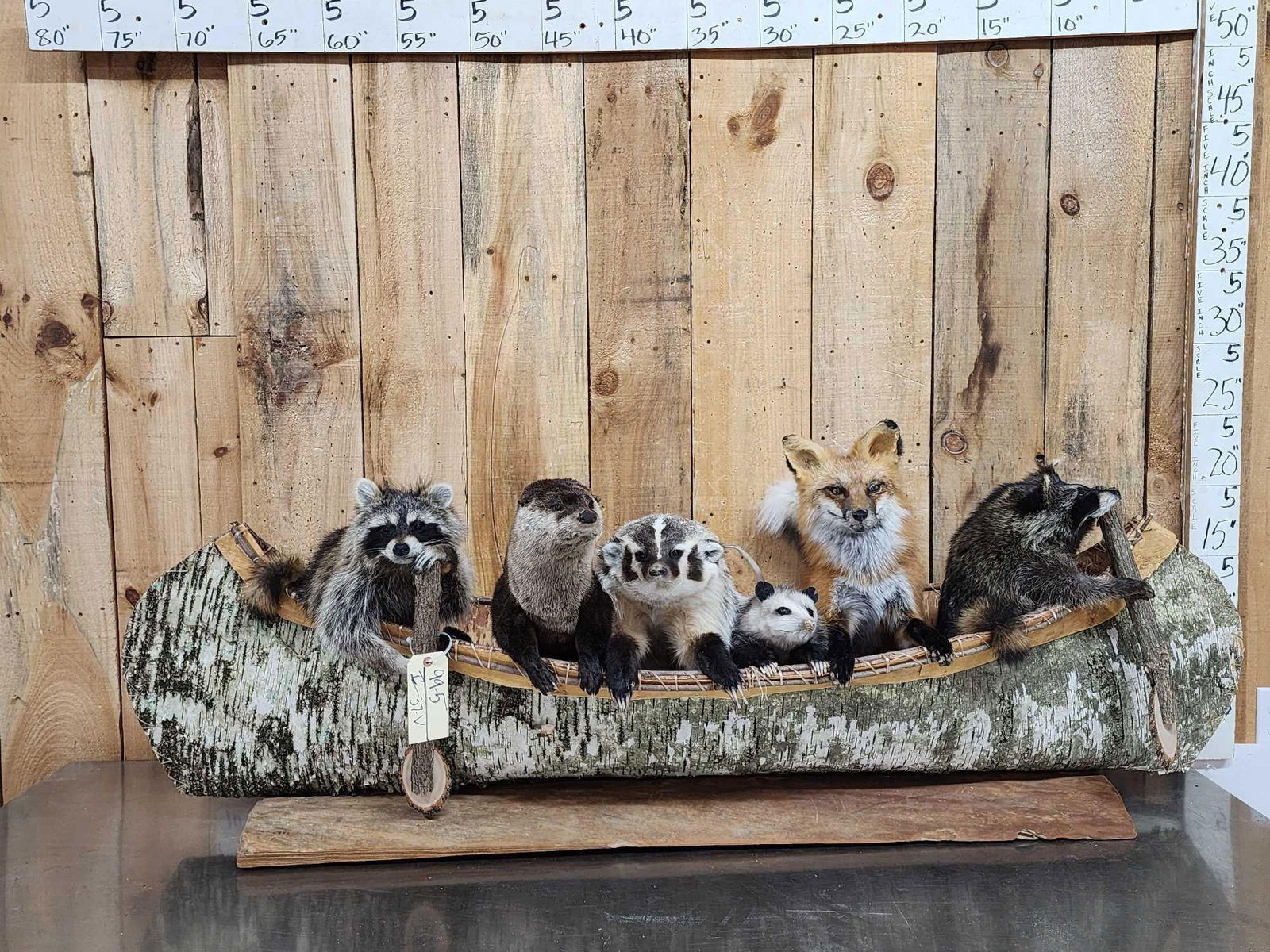 Large Noah's Ark 6 Critters In A Birch Bark Canoe Taxidermy: 99.5 Brand new mount featuring 2 Raccoons Otter Badger Opossum Red Fox floating down the river in a 70" long Canoe cute factor is HIGH!