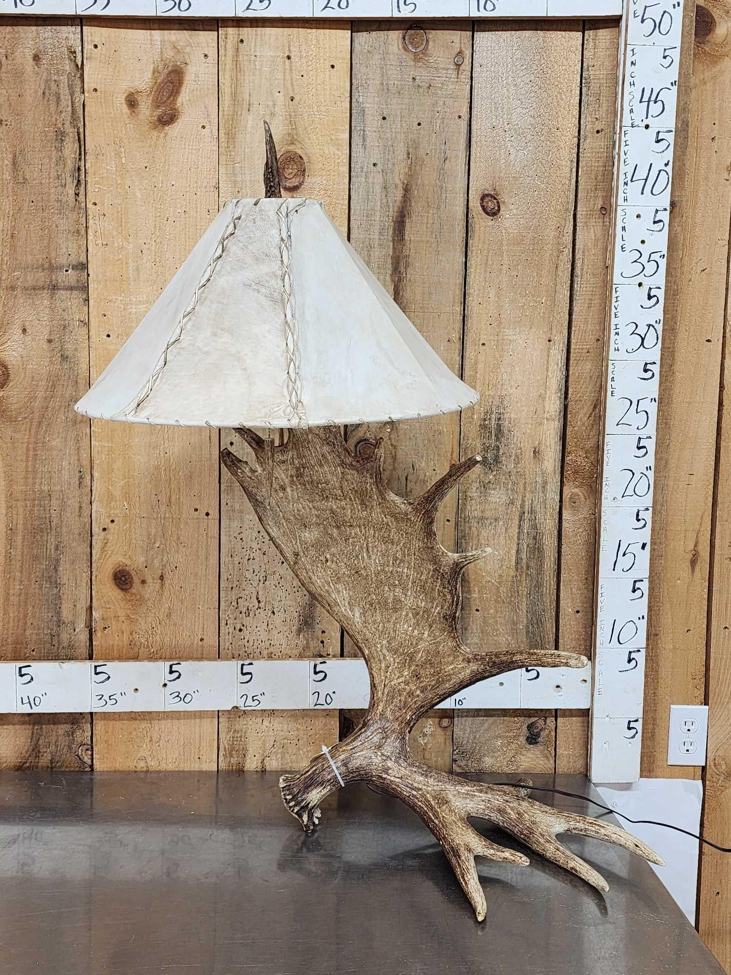 Awesome Self Standing Moose Shed Antler Lamp (1 of 6)