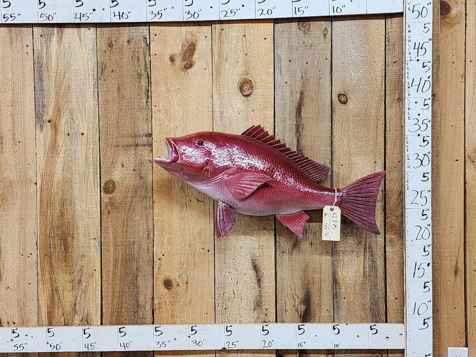 32" Red Fish Reproduction Fish Taxidermy Mount: 127.15 Great look