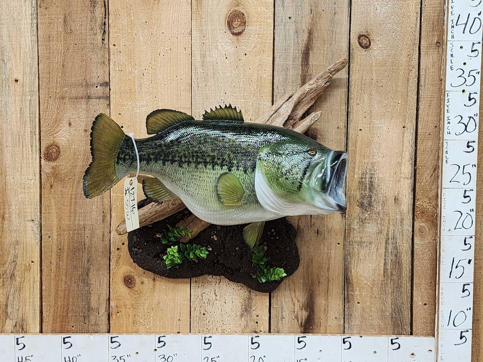 MONSTER 26" Largemouth Bass Reproduction Fish Taxidermy: 127.16 Great look good paint artwork freshly done