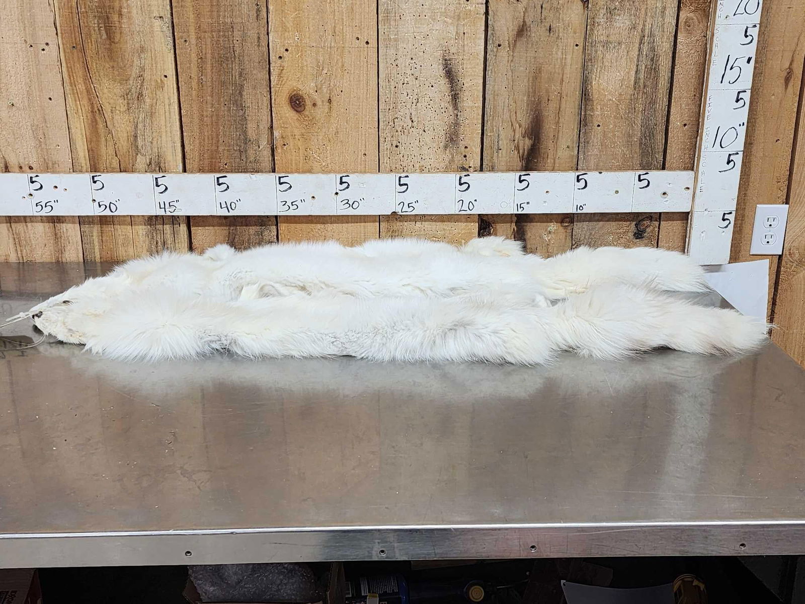 2 Arctic Cross Ranch Fox Soft Tanned Furs: 121.9 Great colors thick soft fur feet intact great for crafts or decor