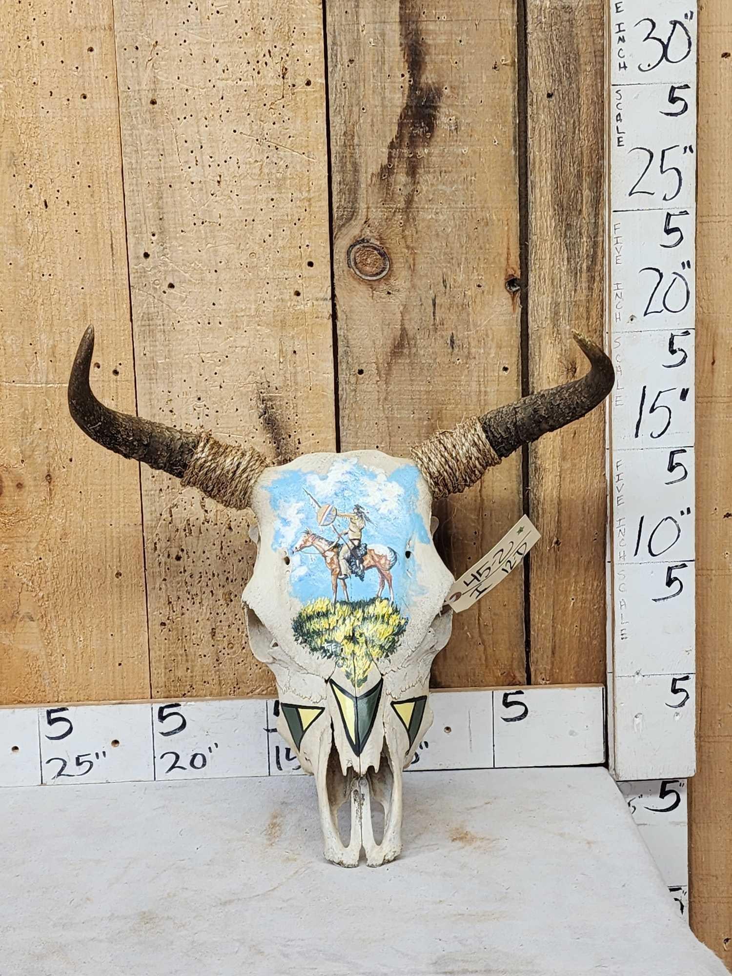 Hand Painted Steer Skull Taxidermy (1 of 4)