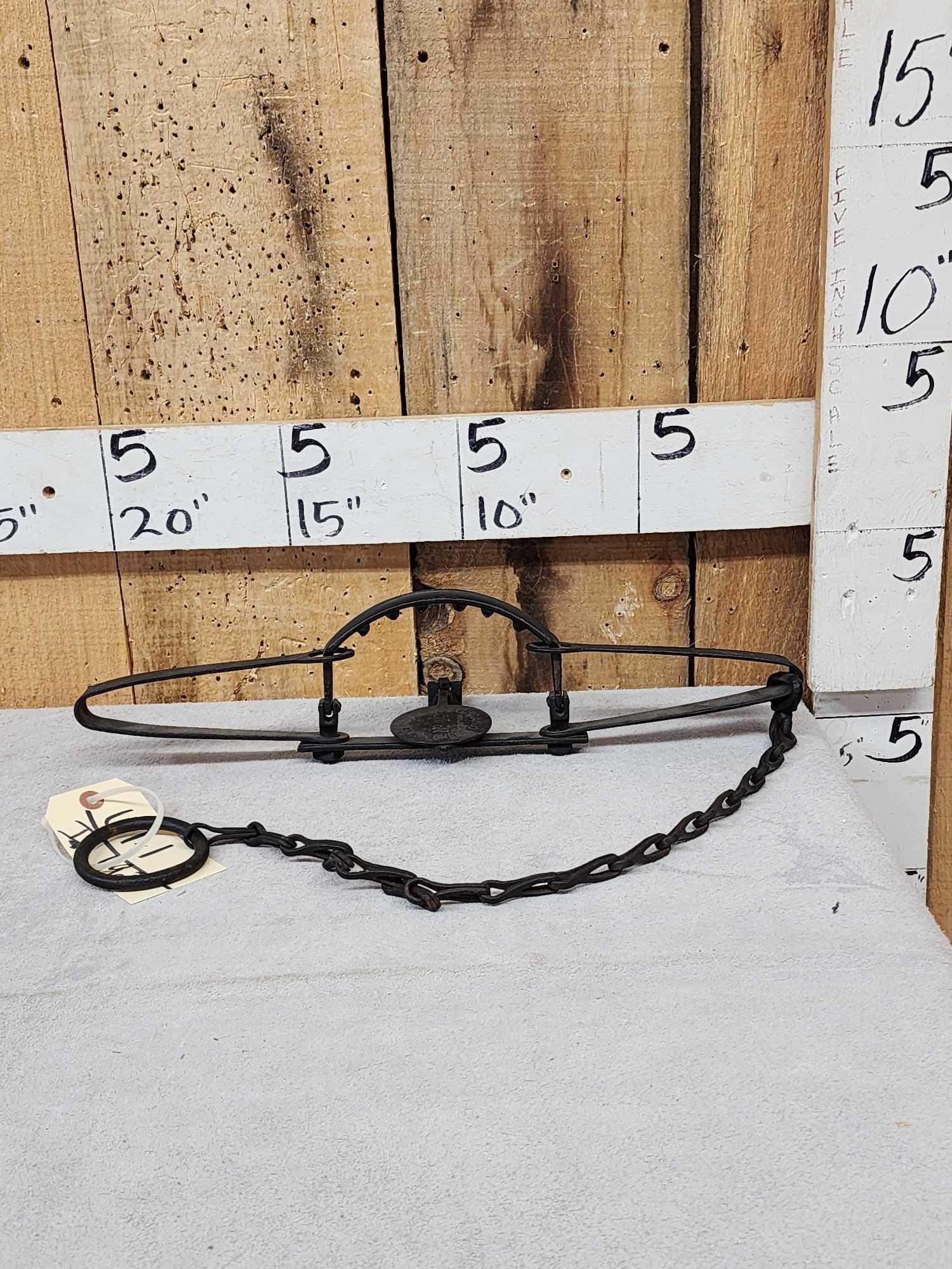 S. Newhouse Oneida Community #14 Double Long Spring Trap: 67.1 Legible pan stamped springs offset jaws with teeth with chain swivel mfg 1911 - 1925