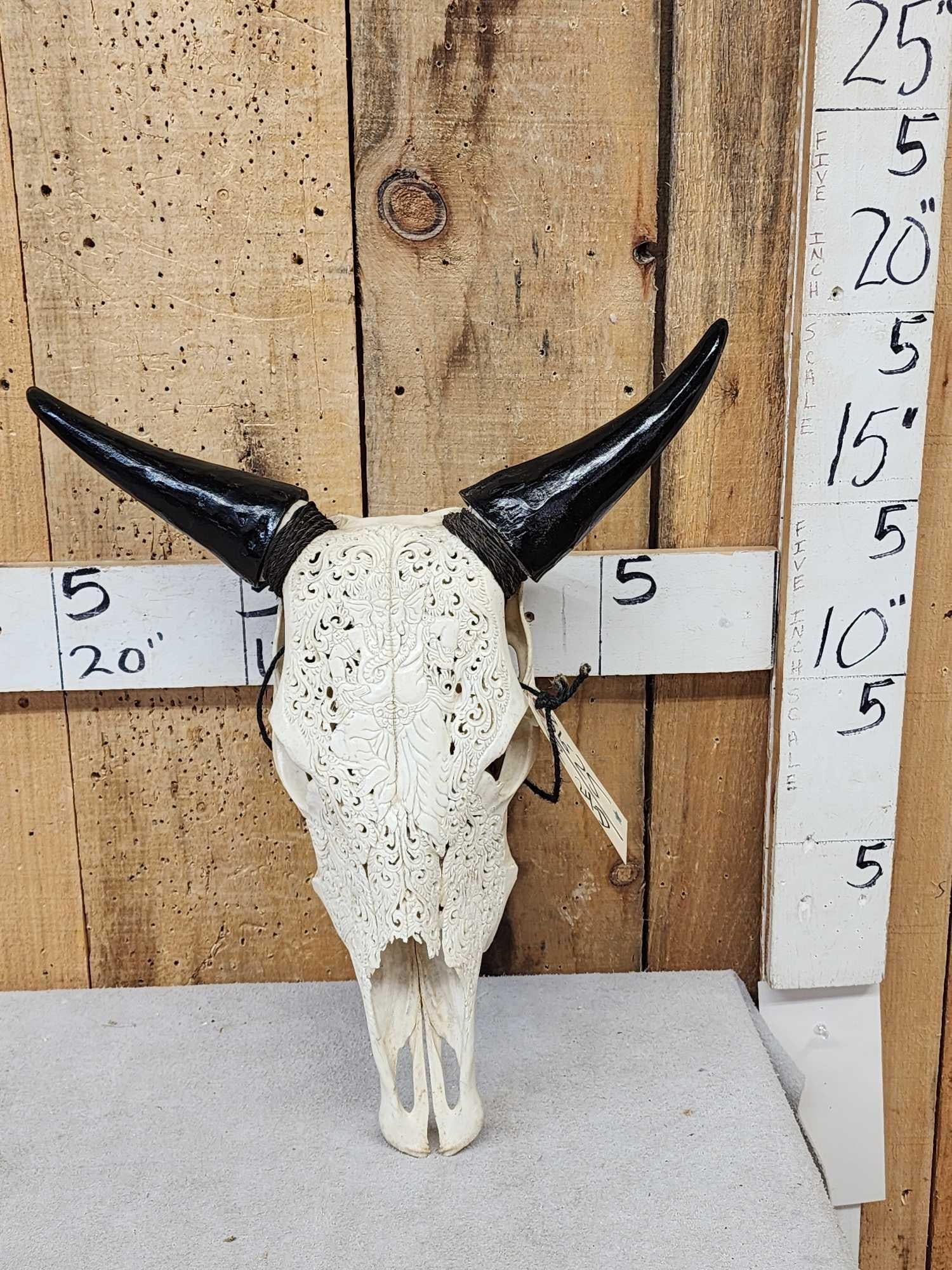 Hand Carved Zebu Skull Taxidermy: 86.25 Professionally cleaned whitened Awesome detail featuring the Hindu Deity Ganesha with detachable horns for easy shipping