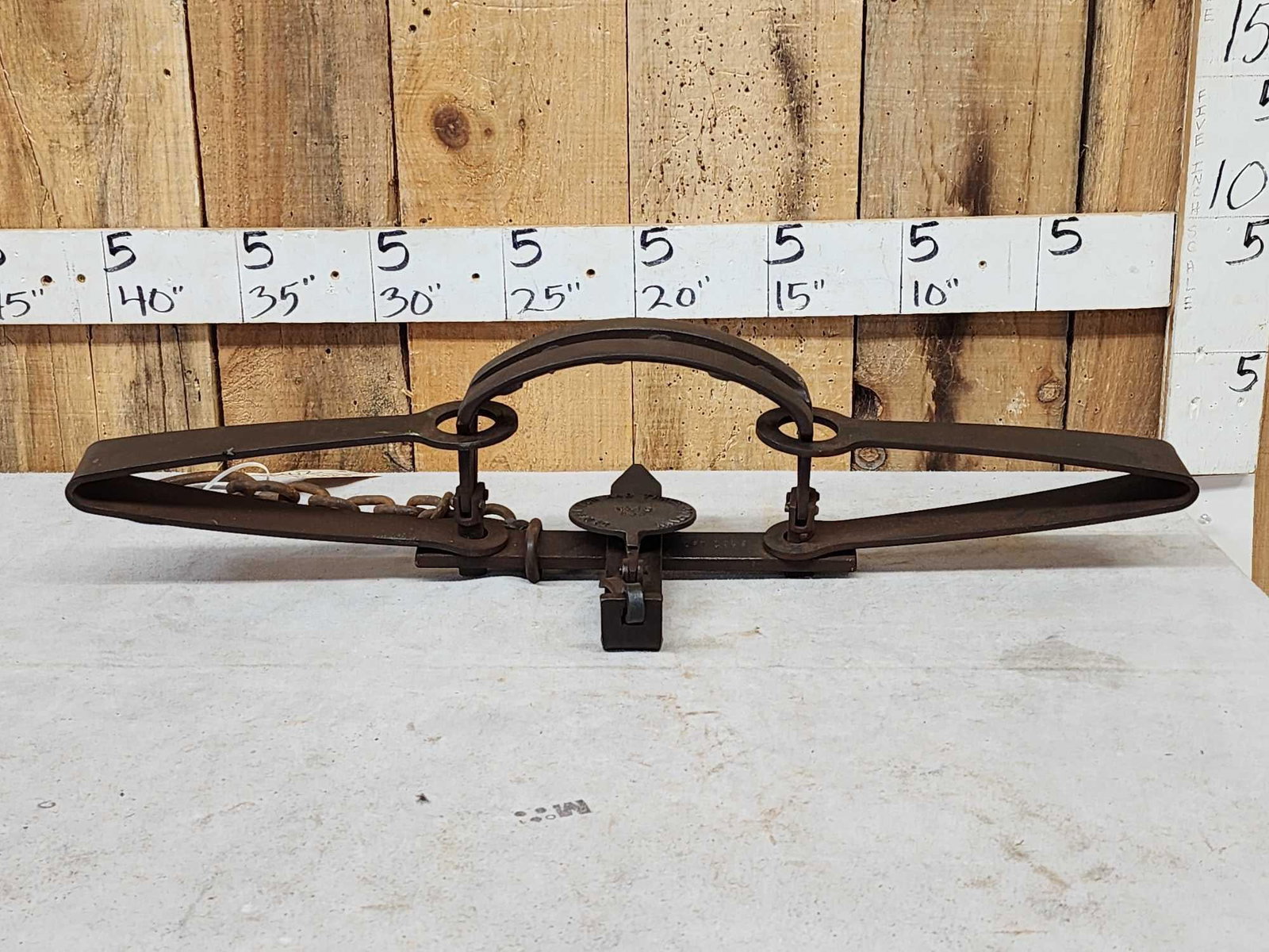 Denali Fur & Trade Company #15 Bear Trap: 98.2 Crisp legible cast iron pan offset jaws with teeth with chain swivel