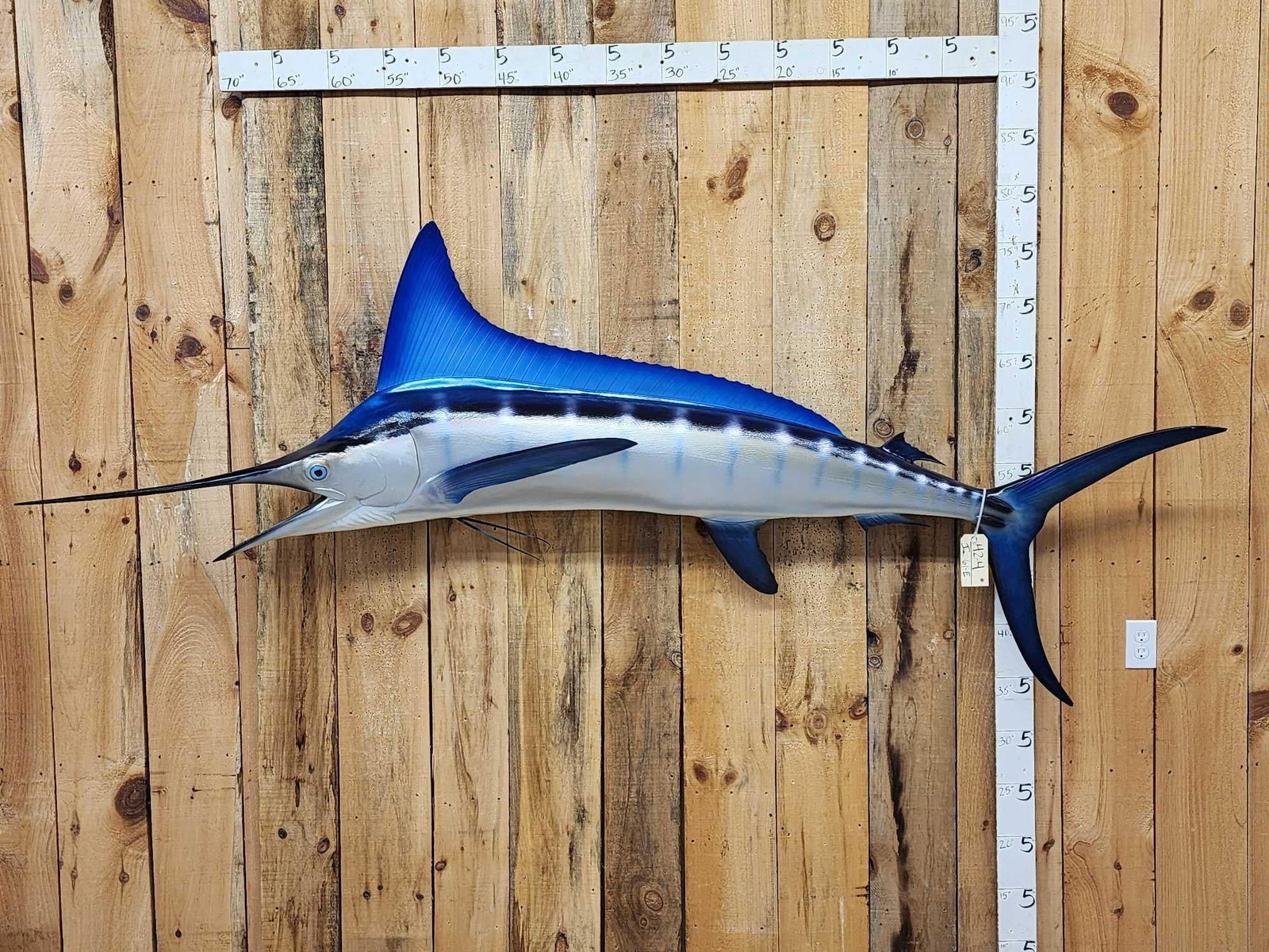 104" Marlin Reproduction Fish Taxidermy: 42.4 Great look real attention getter!Nice paint artwork