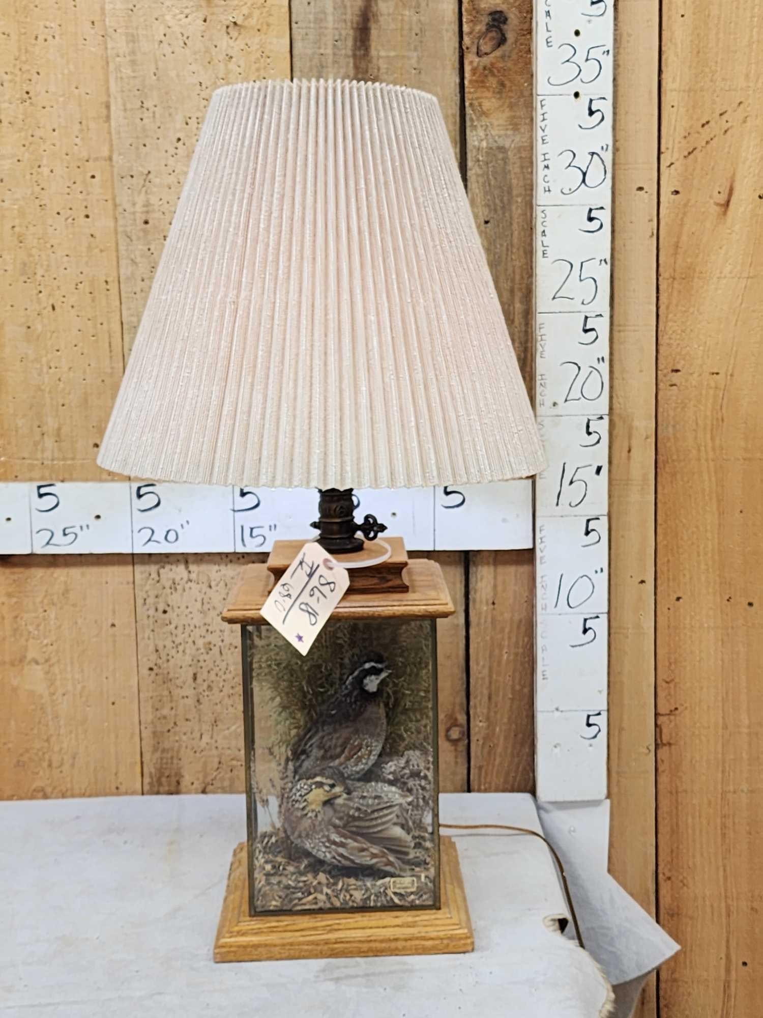 2 Quail In A Lamp Bird Taxidermy: 86.18 Cool piece with habitat