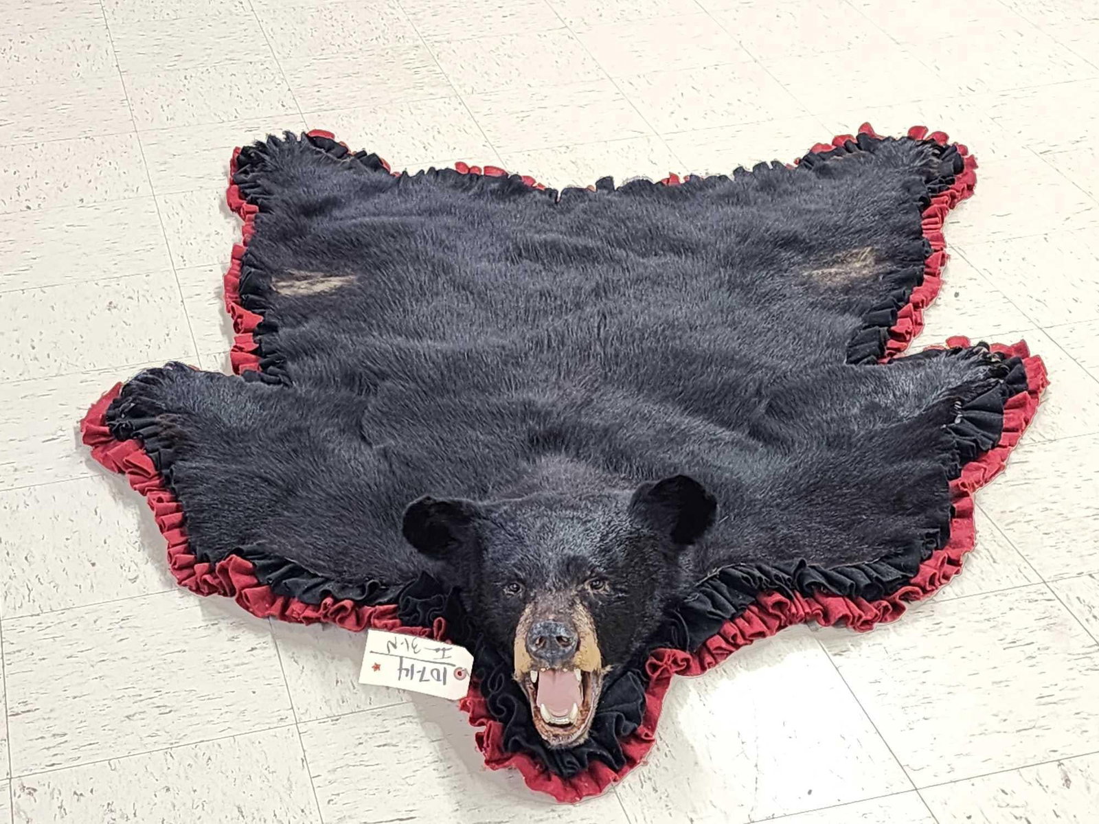 Black Bear Rug Taxidermy: 107.14 Nice rug big claws intact Gathered double felt edges padded backing good facial features overall about 74" long x 52" wide